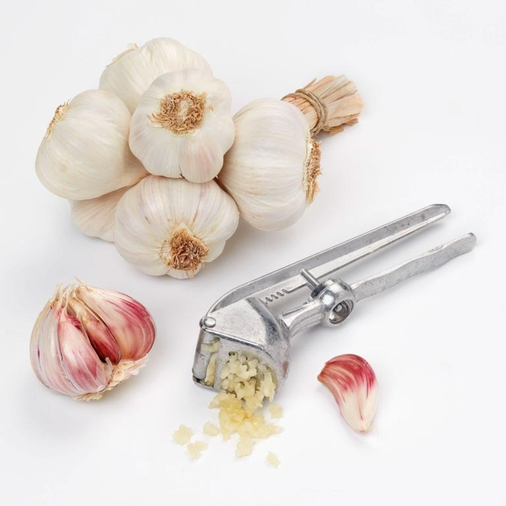 Tala Garlic Press - Approx 15cm