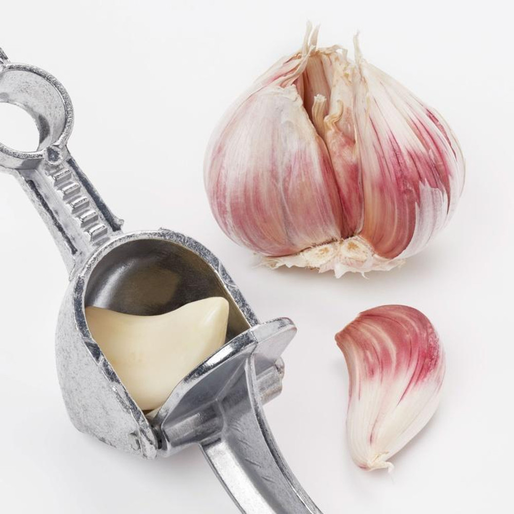 Tala Garlic Press - Approx 15cm