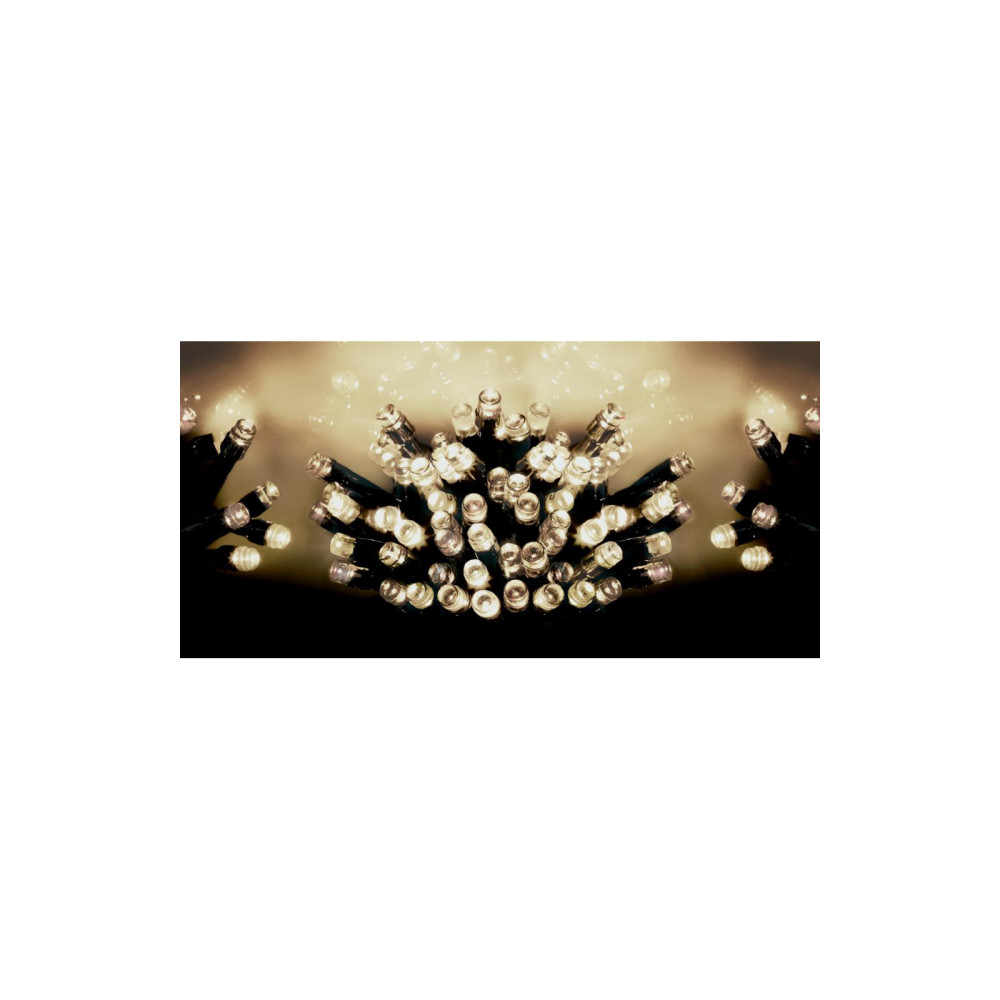 Premier 100 LED Multi Action Battery Operated TIMELIGHTS™ Warm White/Green Cable