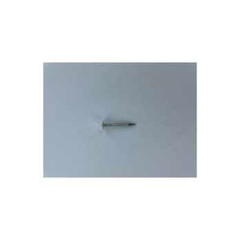 Securfix Stainless Steel Plastic Headed Nail White 40mm 50 Pack