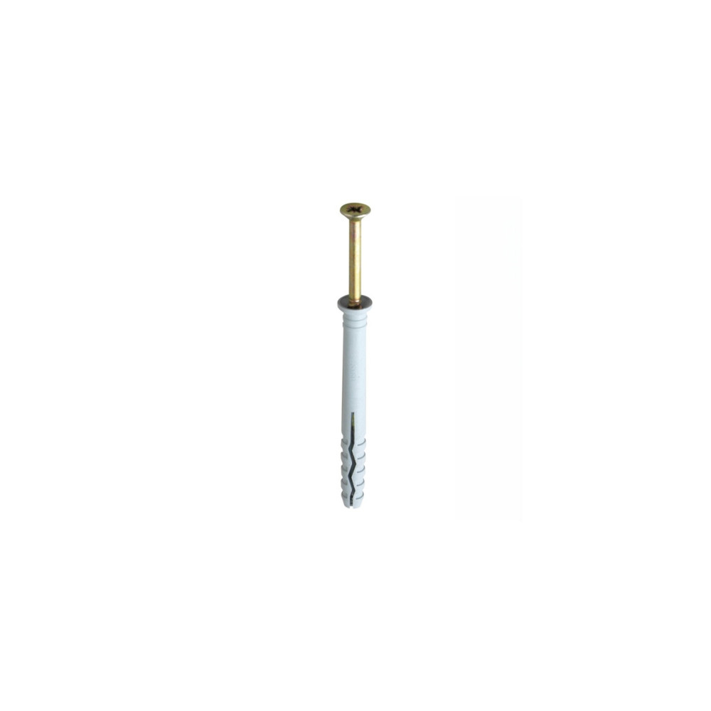 Securpak Hammer Fixing M6x40mm 10 Pack