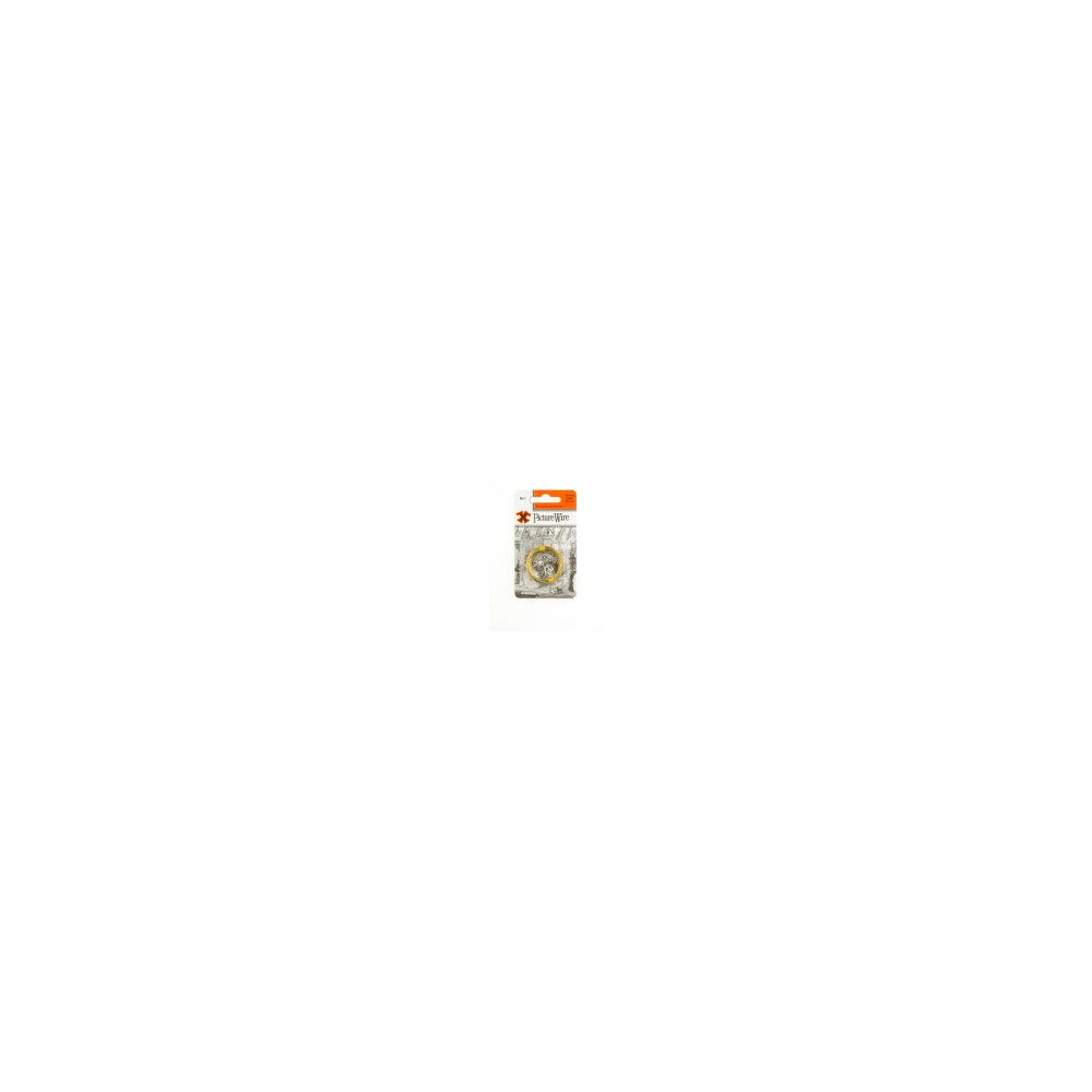 X Brass Picture Wire (Blister Pack) No. 1