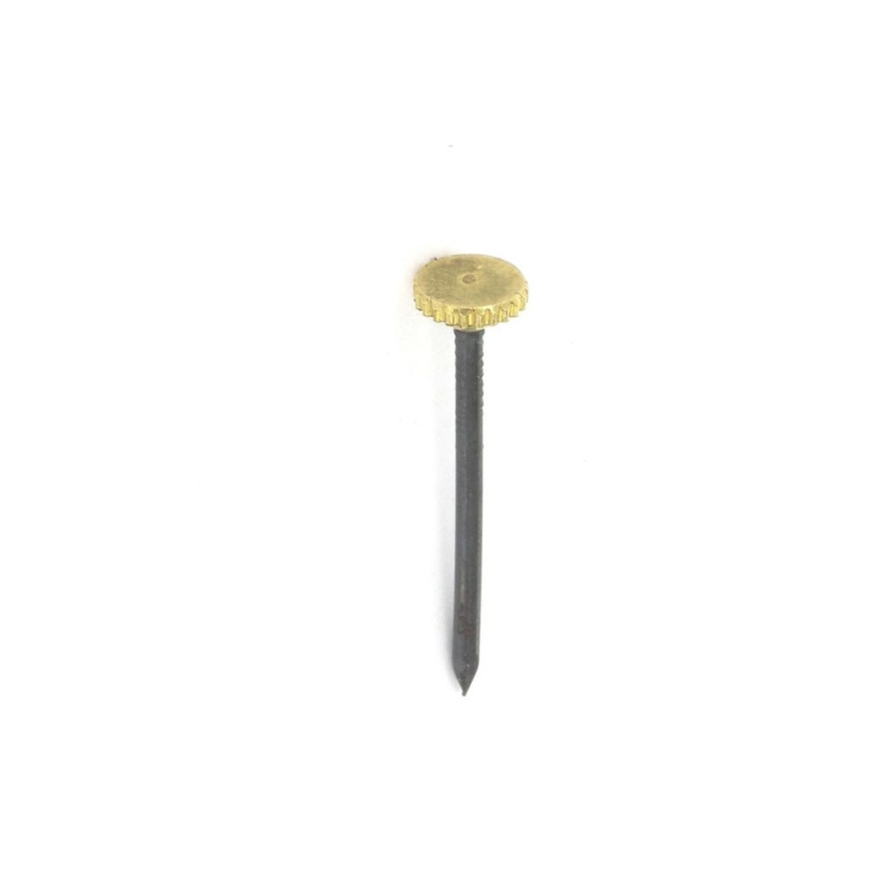 Securit Brass Headed Picture Pins (6) S6205